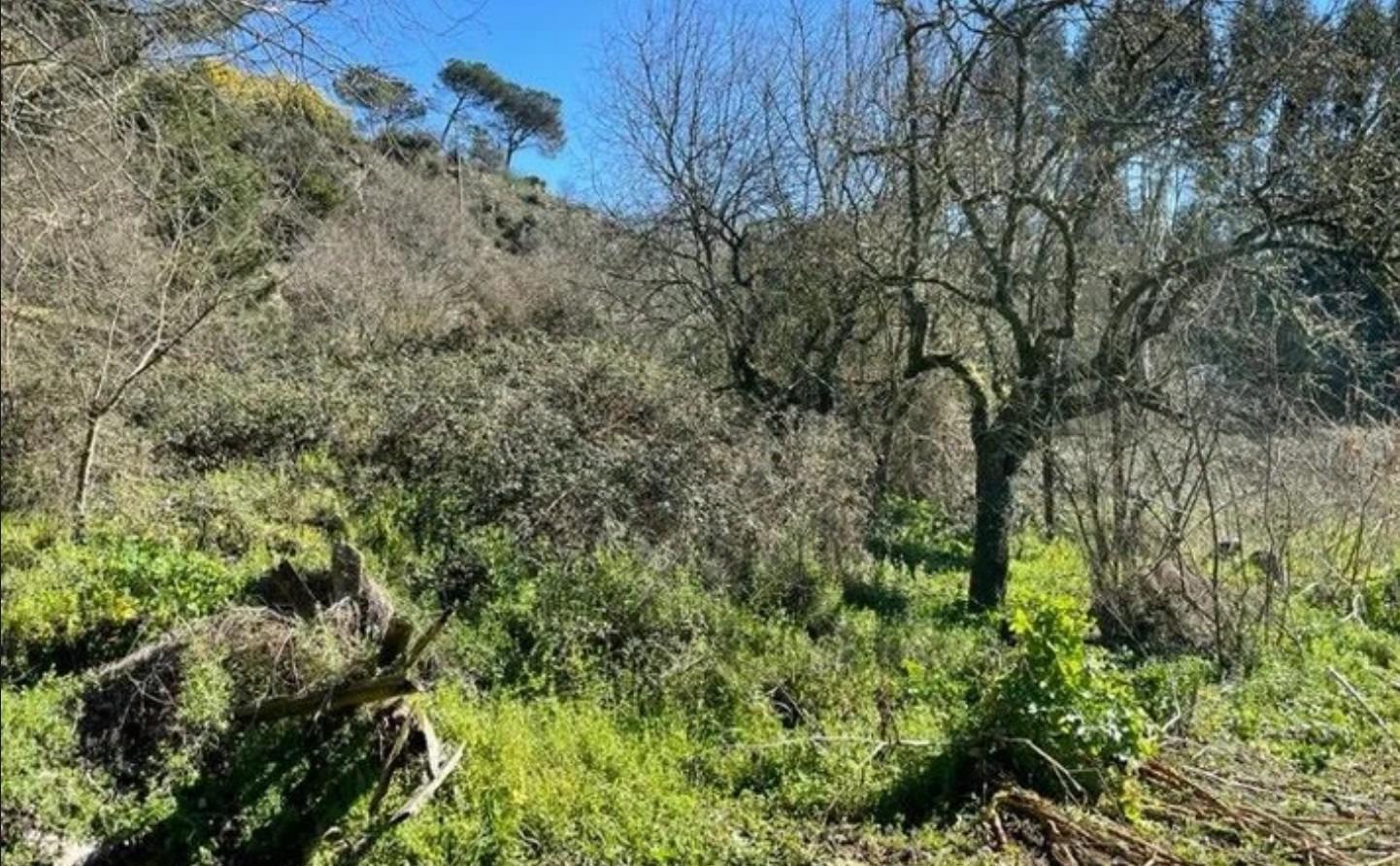 Camiño Franciscanos, Ourense, Orense à vendre Photo de l’immeuble– Image 1 sur 8