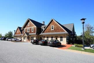Plus de détails pour 1925 Old Valley Rd, Stevenson, MD - Bureau à louer