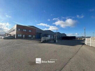 Plus de détails pour 8 Avenue De L'Industrie, Corbas - Local d'activités, Industriel/Logistique à louer