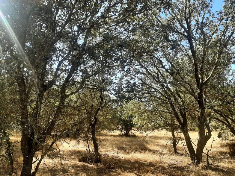 Terrain dans Torreorgaz, Cáceres à vendre - Photo principale – Image 2 sur 6