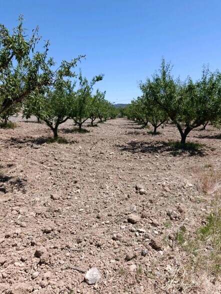 Terrain dans Cehegín, Murcia à vendre - Photo de l’immeuble – Image 3 sur 12