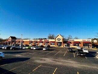 Plus de détails pour 210-240 Peterson Rd, Libertyville, IL - Local commercial à louer
