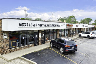 Plus de détails pour 4033-4049 Oakton St, Skokie, IL - Local commercial à louer