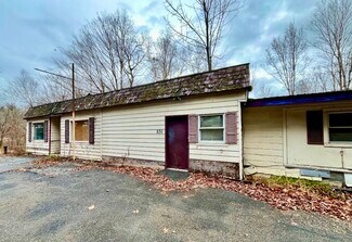 Plus de détails pour 830 County Route 49, Argyle, NY - Local commercial à vendre