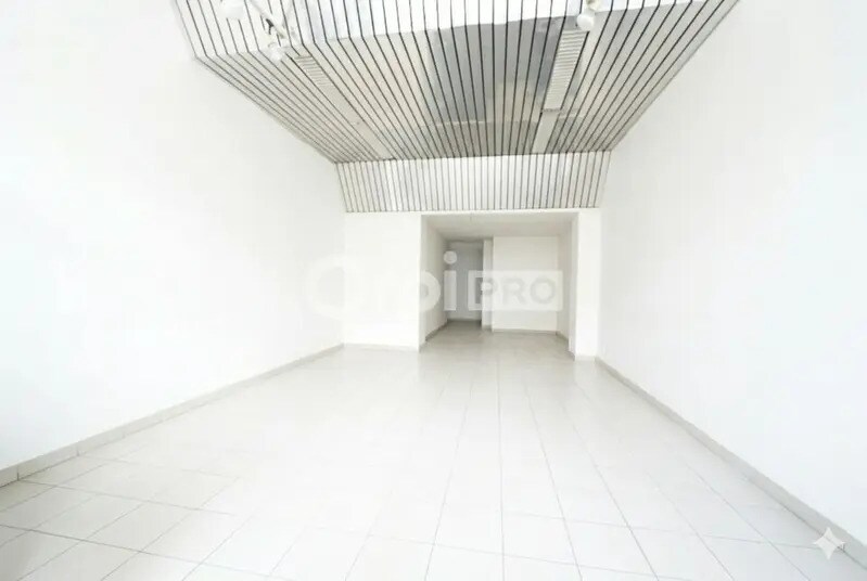 17 Cours Tolstoï, Villeurbanne à vendre Photo intérieure– Image 1 sur 8