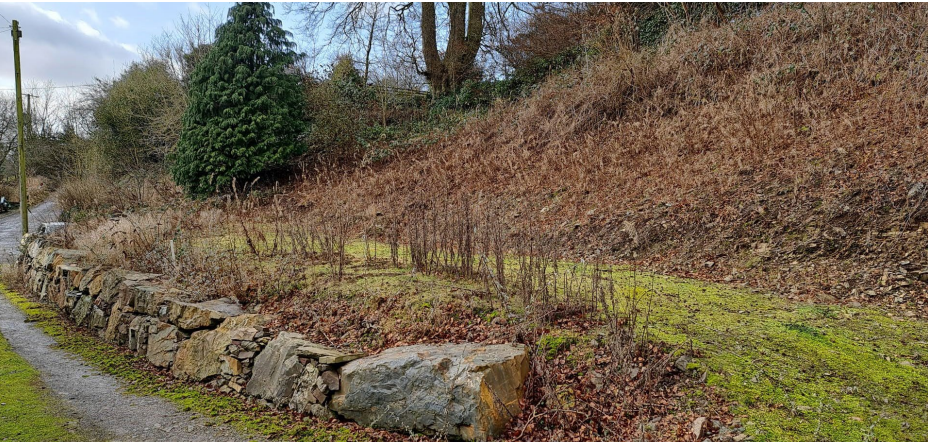 Land Adjoining, Kirkcudbright à vendre Autre– Image 1 sur 3