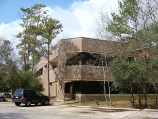 Plus de détails pour 10655 Six Pines Dr, The Woodlands, TX - Bureau, Local commercial à louer