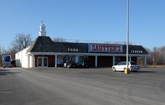 Plus de détails pour 9533 Waterville Swanton Rd, Whitehouse, OH - Local commercial à vendre