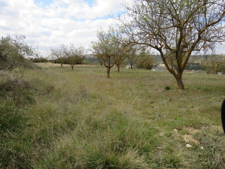 Terrain dans Ontinyent, Valencia à vendre - Photo principale – Image 2 sur 9