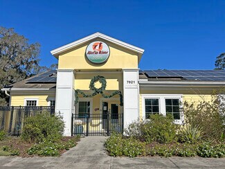 Plus de détails pour 7021 Lithia Pinecrest Rd, Lithia, FL - Terrain à vendre