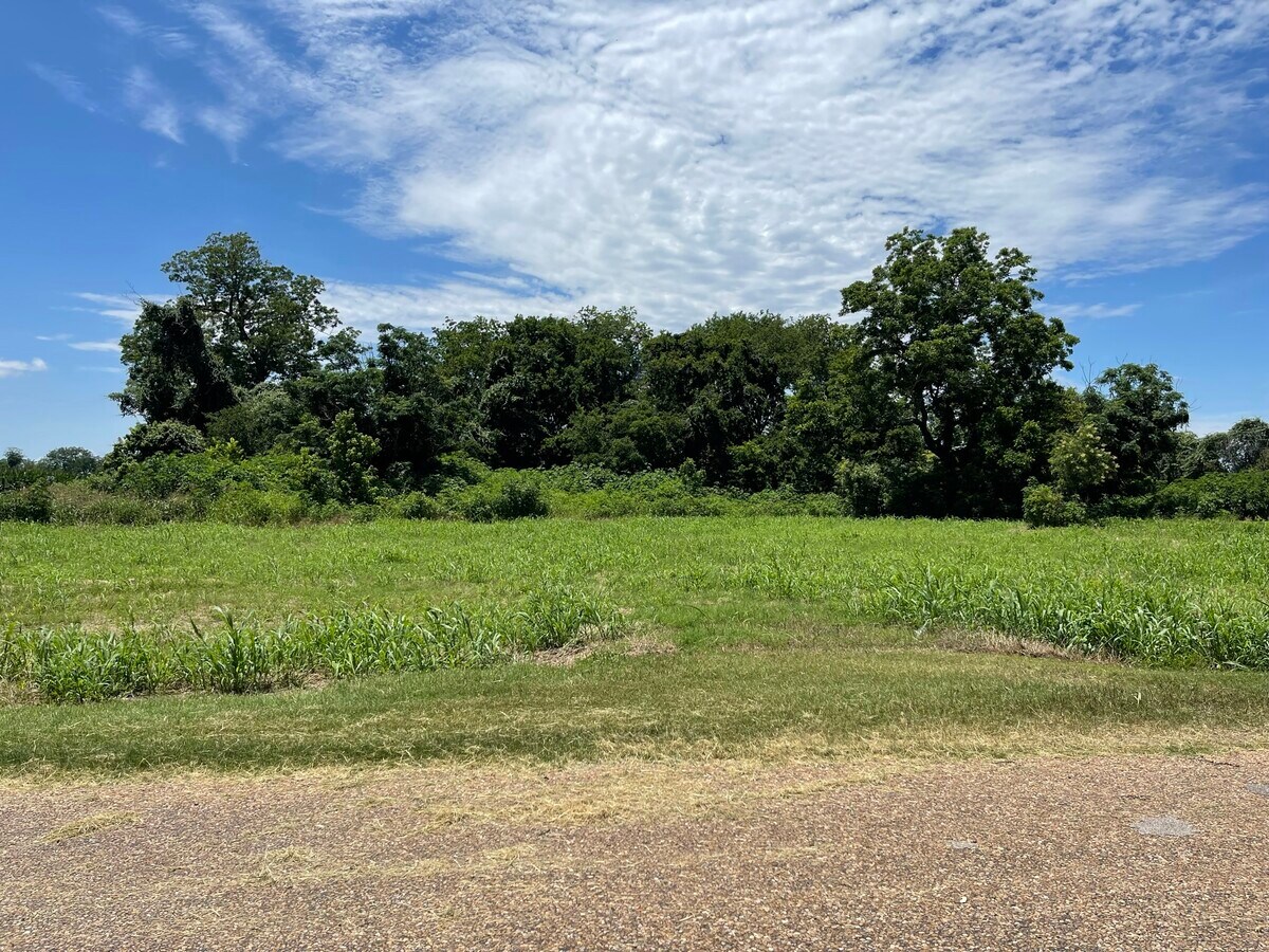 View Photo