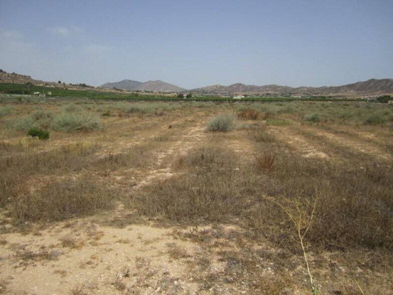 Terrain dans Aspe, Alicante à vendre - Plan de site – Image 2 sur 5