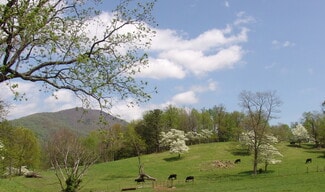 Plus de détails pour Near Little Washington Virginia, Washington, VA - Terrain à vendre