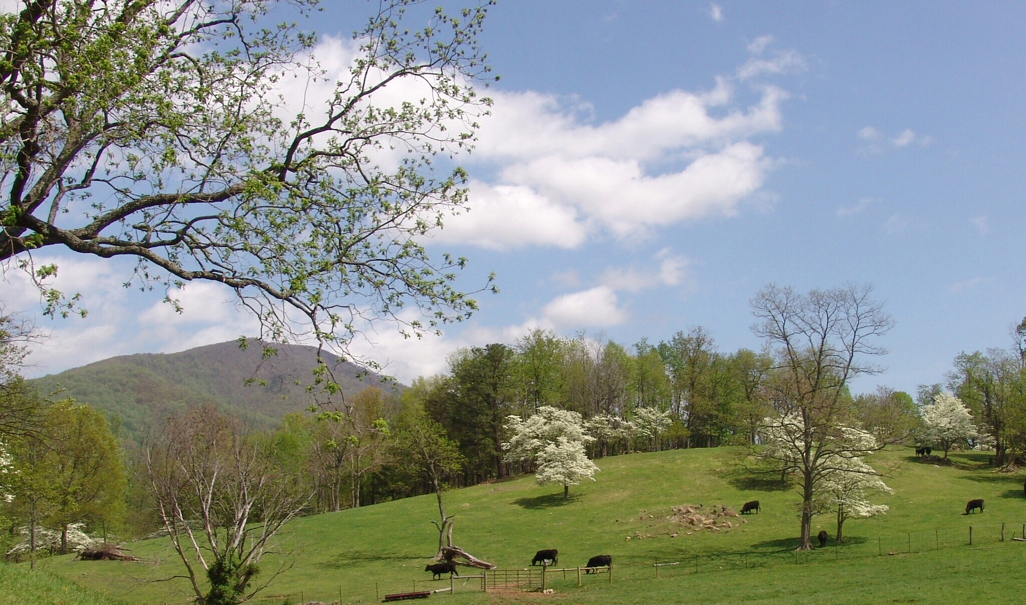 Near Little Washington Virginia, Washington, VA à vendre Photo principale– Image 1 sur 43
