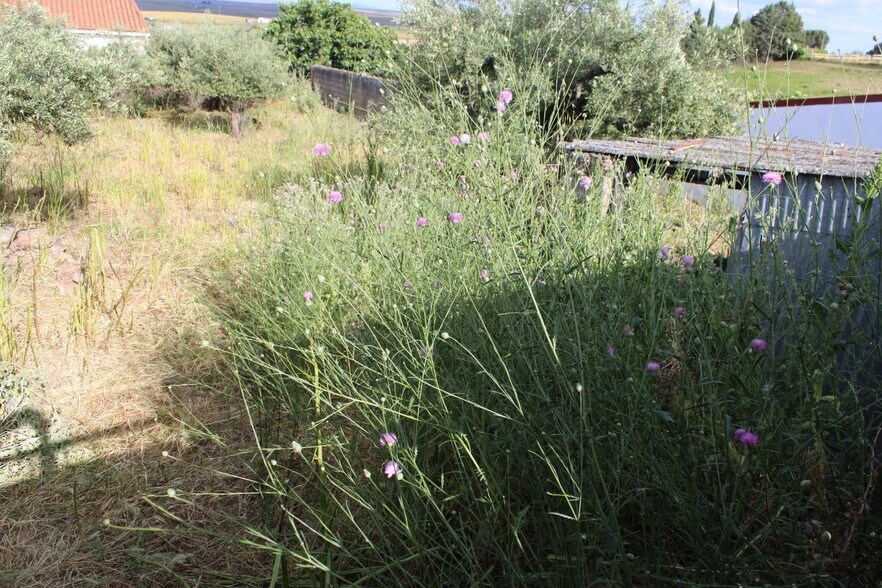 Terrain dans Sierra de Fuentes, Cáceres à vendre - Photo principale – Image 2 sur 9