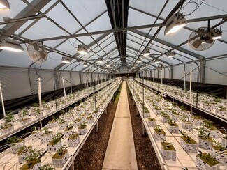 Plus de détails pour 1000 FM624, Orange Grove, TX - Industriel/Logistique à vendre