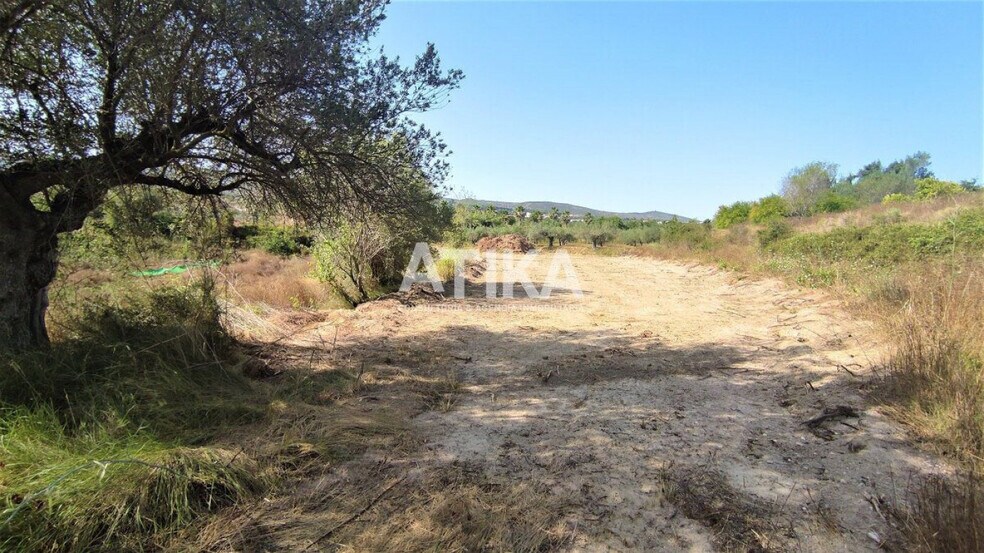 Terrain dans Agullent, Valencia à louer - Plan de site – Image 2 sur 7