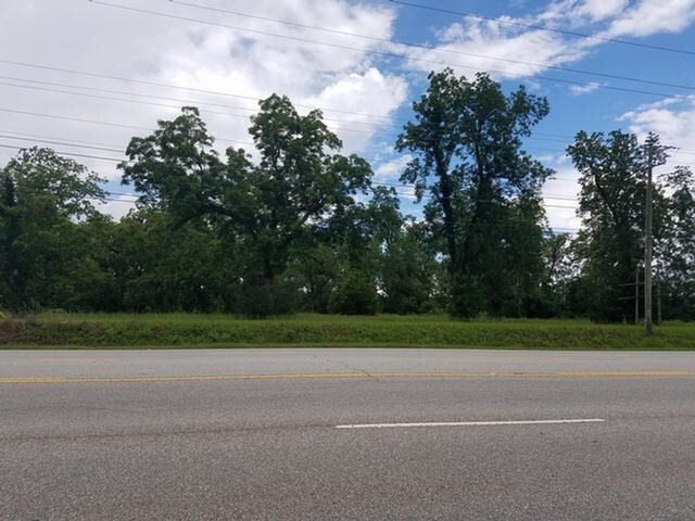 11812 US Highway 319 N, Thomasville, GA à vendre - Autre – Image 2 sur 3