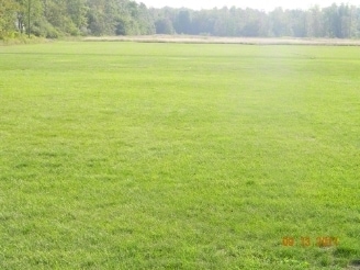 3059 Niagara falls Blvd, Wheatfield Township, NY à vendre - Photo principale – Image 1 sur 4