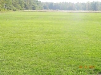 3059 Niagara falls Blvd, Wheatfield Township, NY à vendre Photo principale– Image 1 sur 5