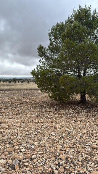 Terrain dans Yecla, Murcia à vendre - Plan de site – Image 3 sur 7