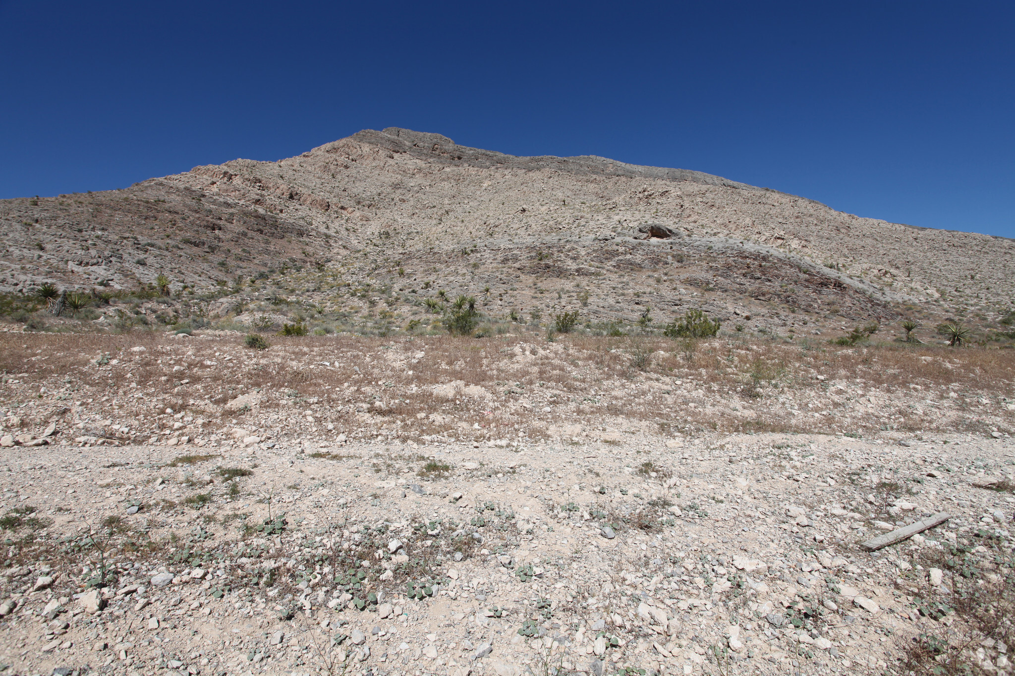 3555 Cliff Shadows Pky, Las Vegas, NV à vendre Photo principale– Image 1 sur 3