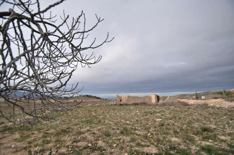 Terrain dans Jumilla, Murcia à vendre - Photo principale – Image 3 sur 8