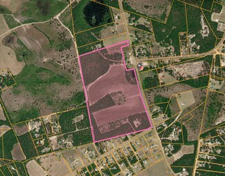 Plus de détails pour 0 Highway 6, Pelion, SC - Terrain à vendre