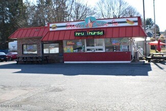 Plus de détails pour 36 Elysburg Rd, Riverside, PA - Local commercial à vendre