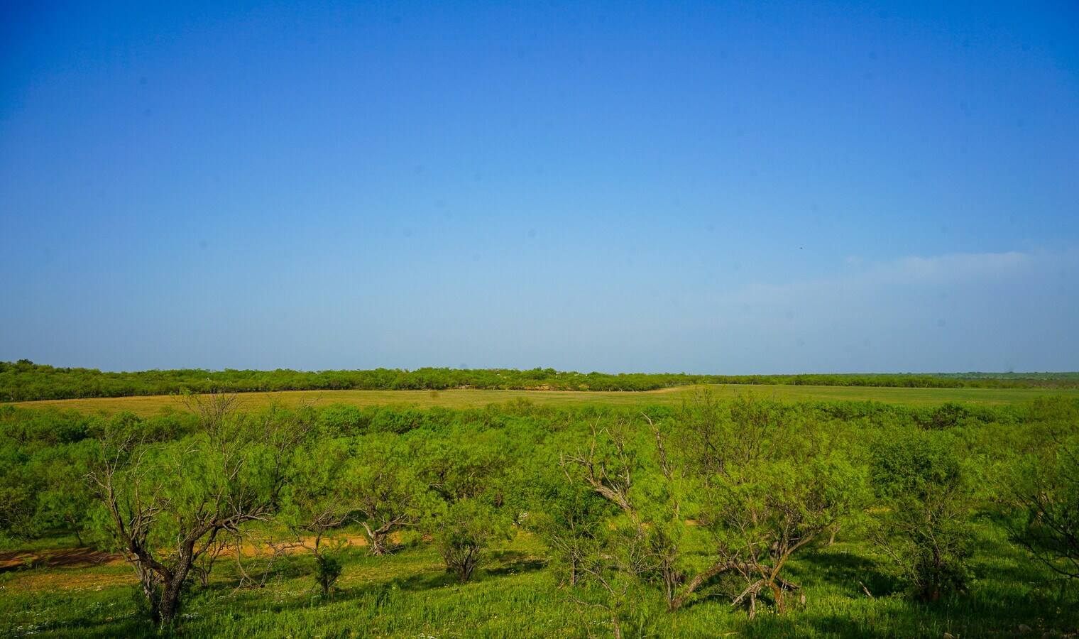 View Photo