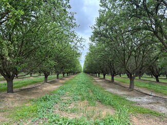 Plus de détails pour Snow Road, Bakersfield, CA - Terrain à vendre