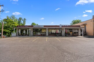 Plus de détails pour 513-519 Germantown Pike, Lafayette Hill, PA - Local commercial à louer