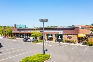 Plus de détails pour 210-236 N Radnor Chester Rd, Radnor, PA - Local commercial à louer