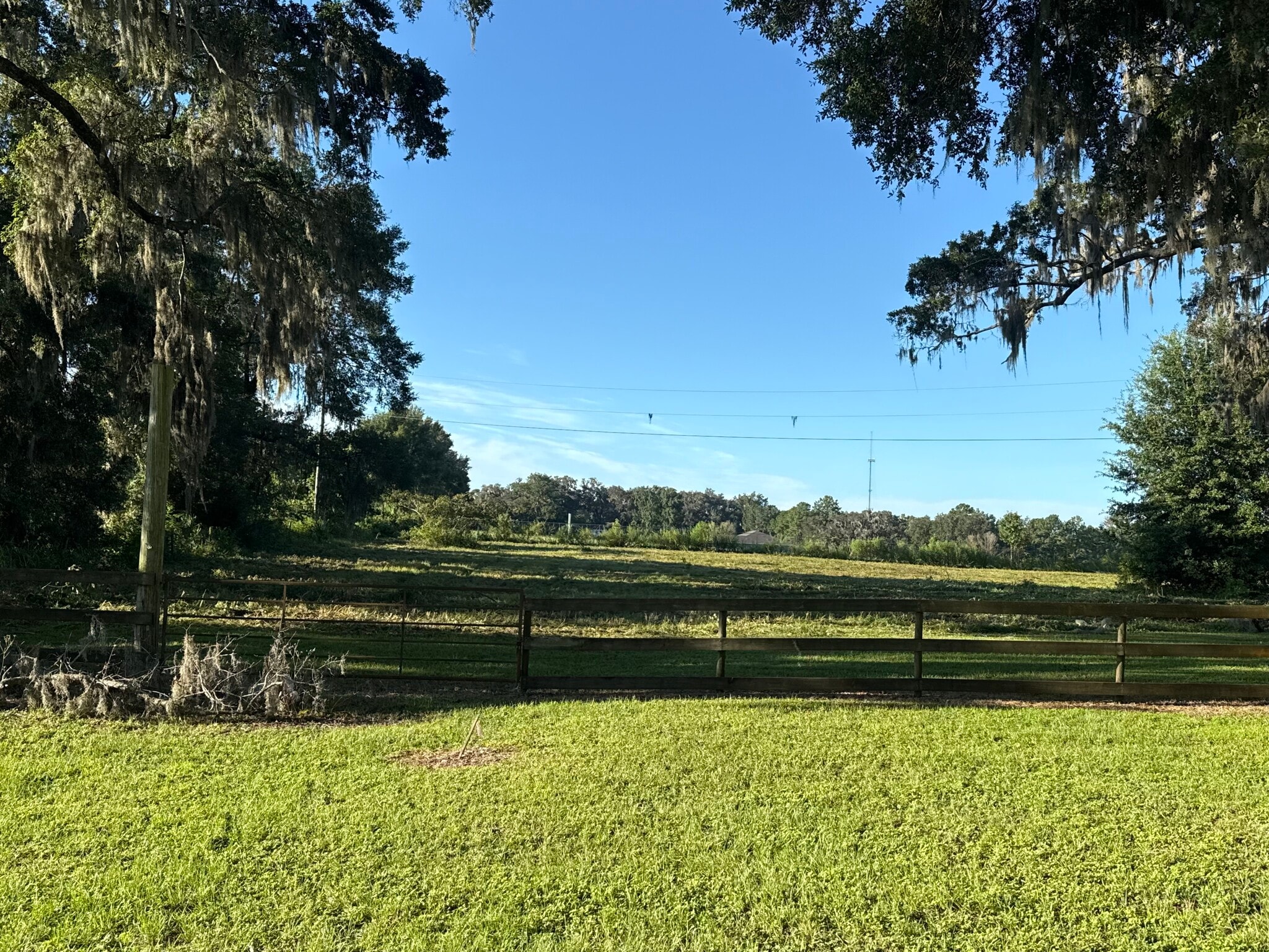 12142 SE County Highway 484, Belleview, FL à vendre Autre– Image 1 sur 3