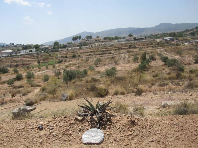 Terrain dans Elda, Alicante à vendre - Photo de l’immeuble – Image 2 sur 2
