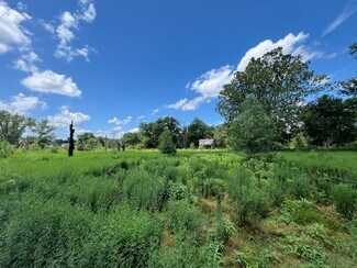 Plus de détails pour North River Road (Lot 5 - .346+/- Acres), Elsberry, MO - Terrain à vendre