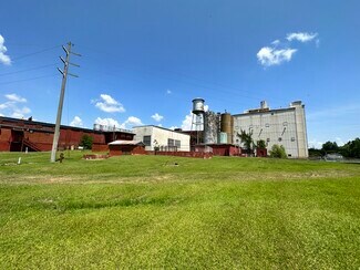 Plus de détails pour 520 Comer St, Alexander City, AL - Industriel/Logistique à vendre