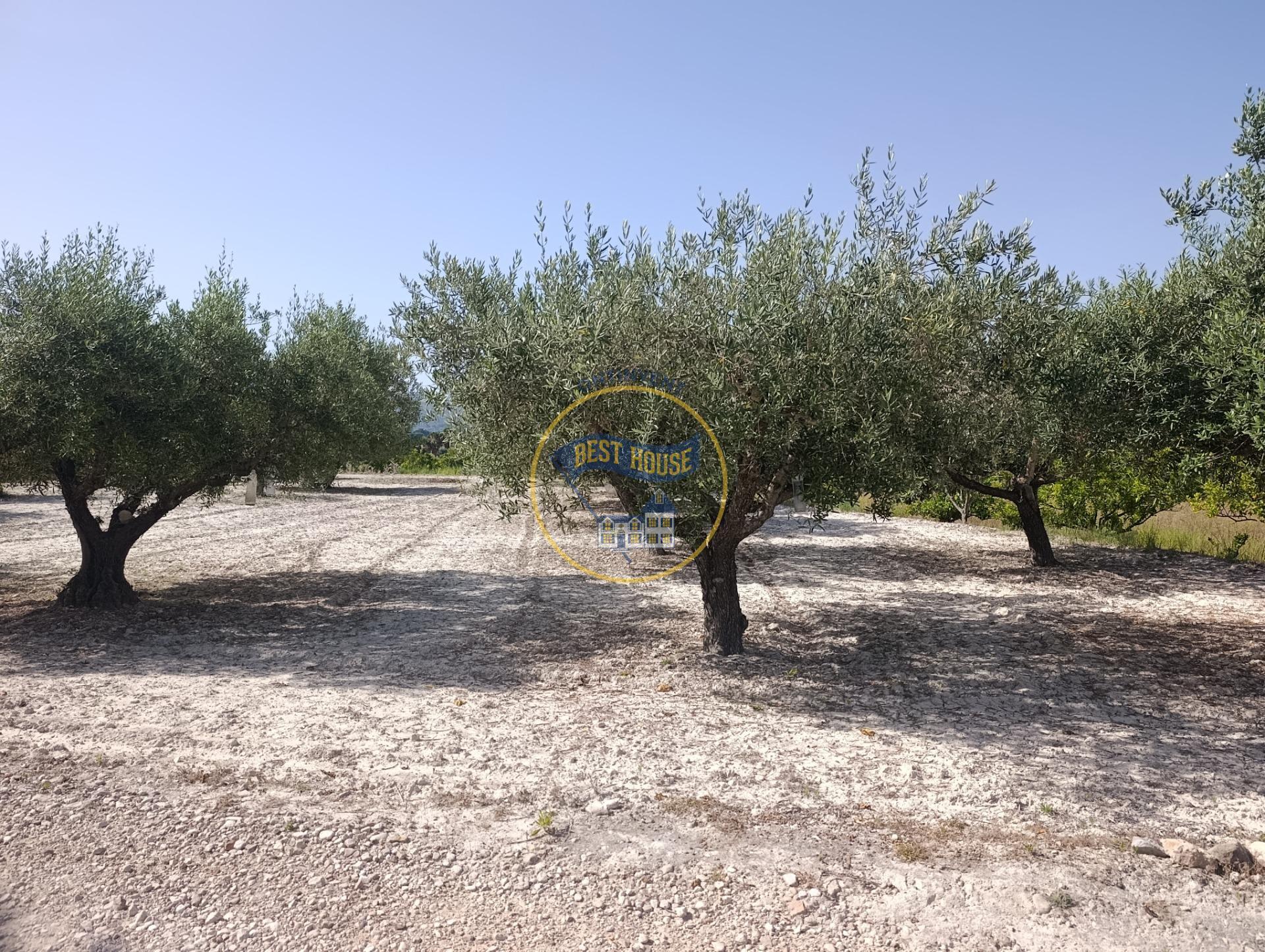 Terrain dans Ontinyent, Valencia à vendre Photo de l’immeuble– Image 1 sur 13