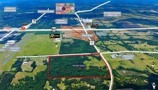Plus de détails pour N State Highway 121, Bonham, TX - Terrain à vendre