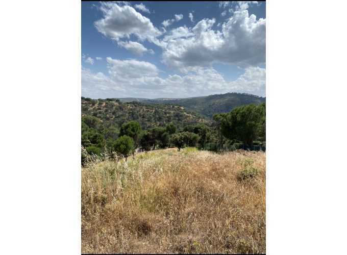 Terrain dans Navas del Rey, Madrid à vendre - Photo principale – Image 1 sur 4