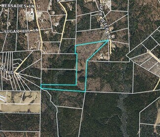 Plus de détails pour 0 Lizzie Jeter Ln, Cameron, NC - Terrain à vendre