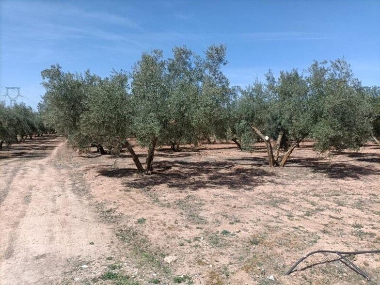 la Zanja, 25, Albolote, Granada à vendre - Photo de l’immeuble – Image 3 sur 22