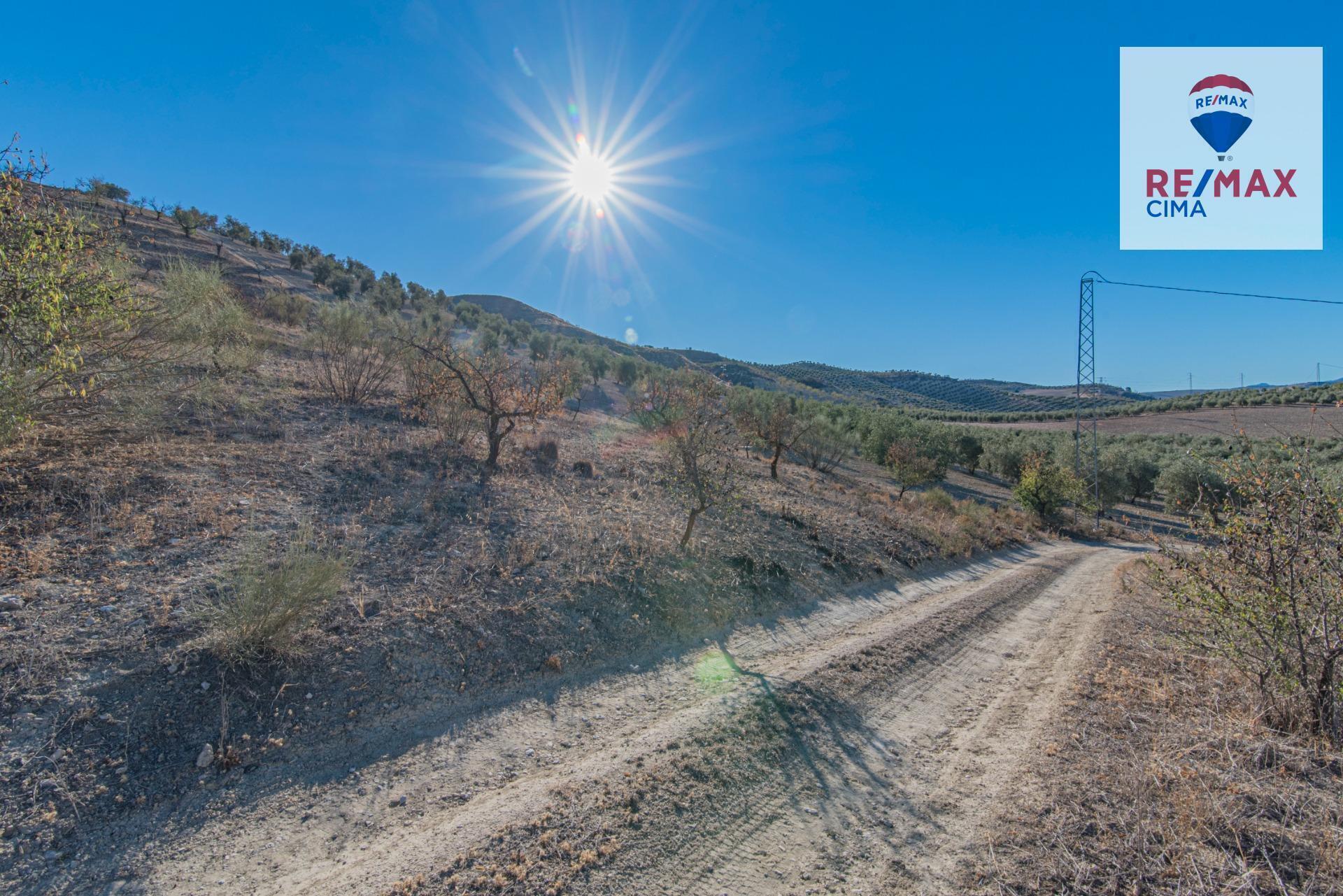de Polígono Parcial, 2, Alhama de Granada, Granada à vendre Photo de l’immeuble– Image 1 sur 56