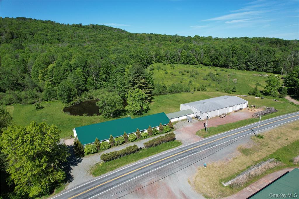 295 Jeffersonville North Branch Rd, Jeffersonville, NY à vendre Photo de l’immeuble– Image 1 sur 44