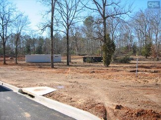 Plus de détails pour 717 Chapin Rd, Chapin, SC - Terrain à vendre