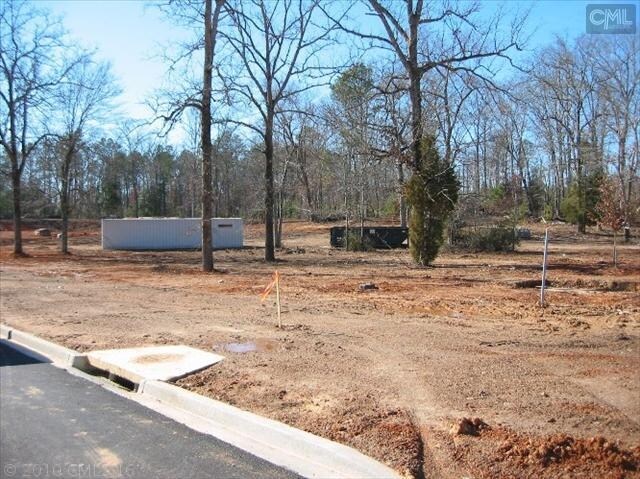 717 Chapin Rd, Chapin, SC à vendre Photo principale– Image 1 sur 3