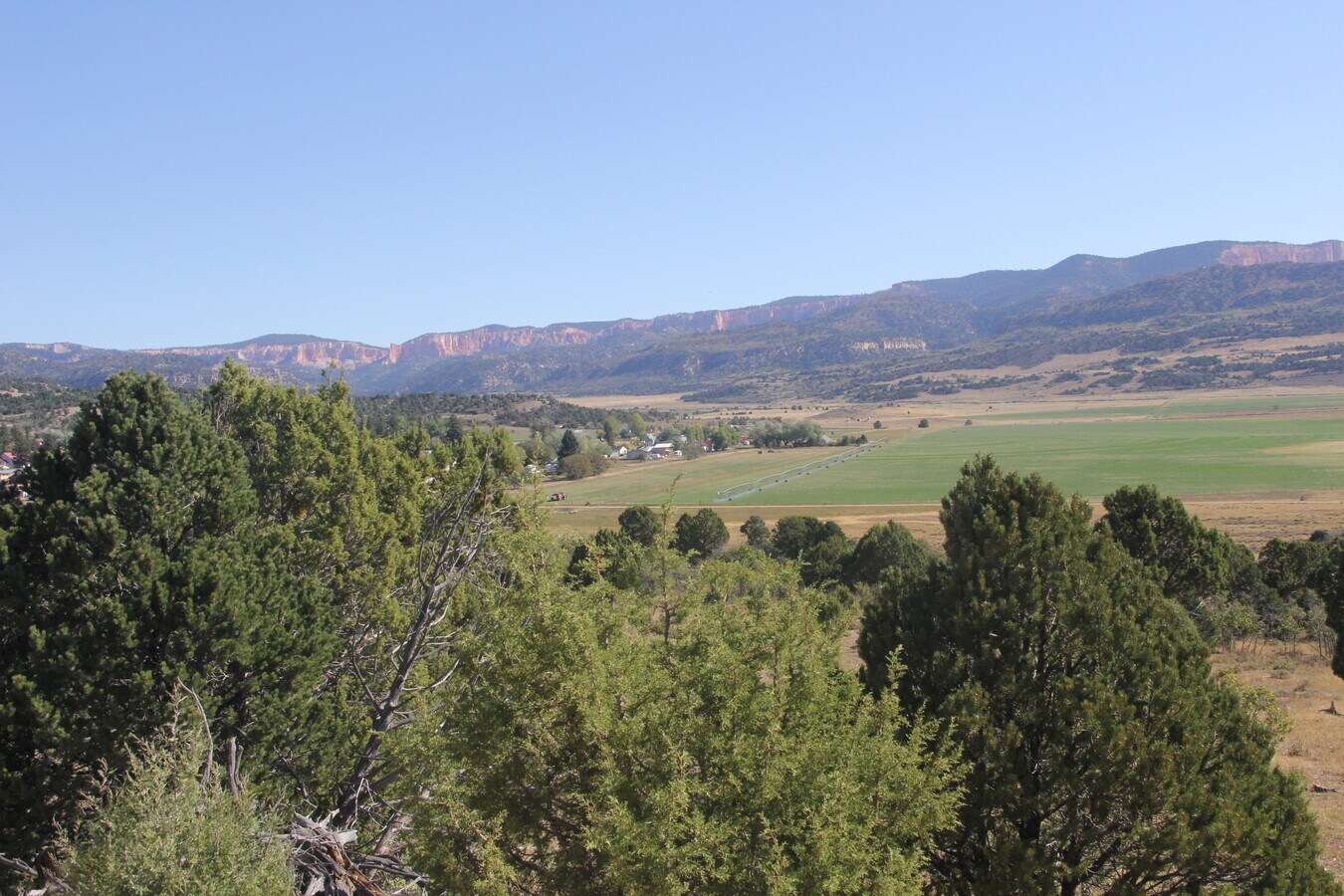 View Photo