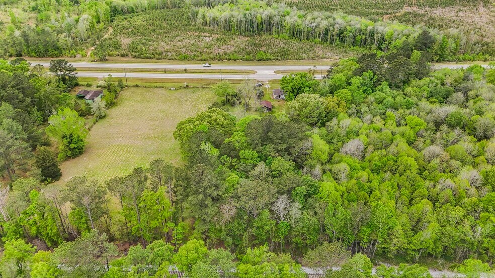 20000 U.S. 43, Mount Vernon, AL à vendre - Photo de l’immeuble – Image 2 sur 8