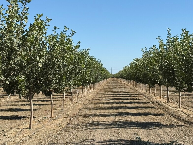 W Cole ave, Coalinga, CA à vendre - Photo de l’immeuble – Image 3 sur 9