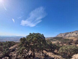 Plus de détails pour Carretera a-7203 de a-92M a Villanueva de Cauche p, 168, Antequera - Terrain à vendre